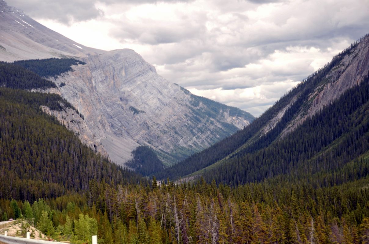 14-S Cirrus Mountain In Summer From Near Big Bend On Icefields Parkway